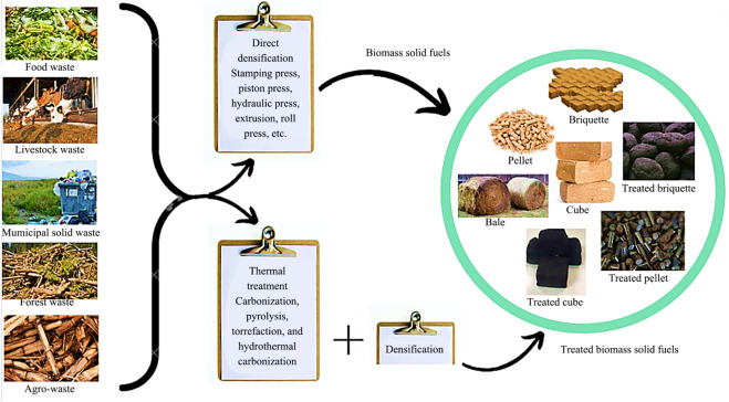 types-of-biomass-fuel